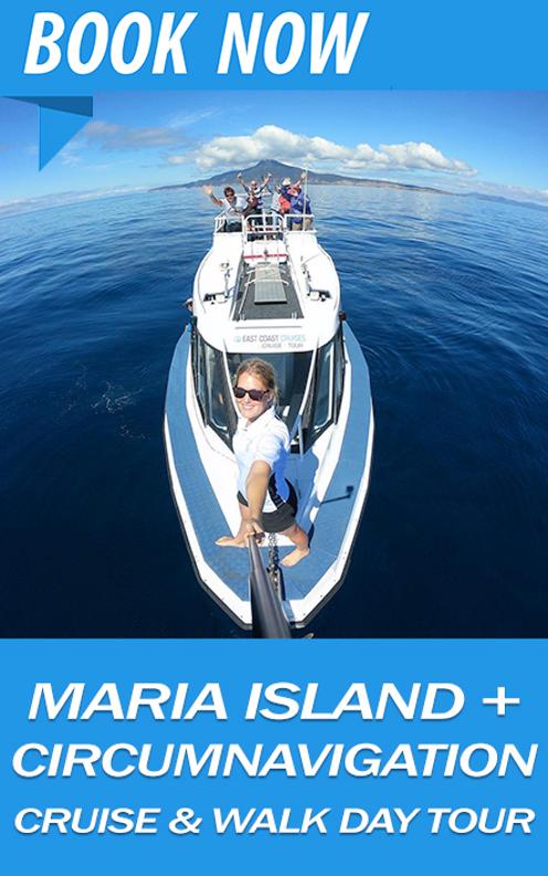 maria island tour hobart